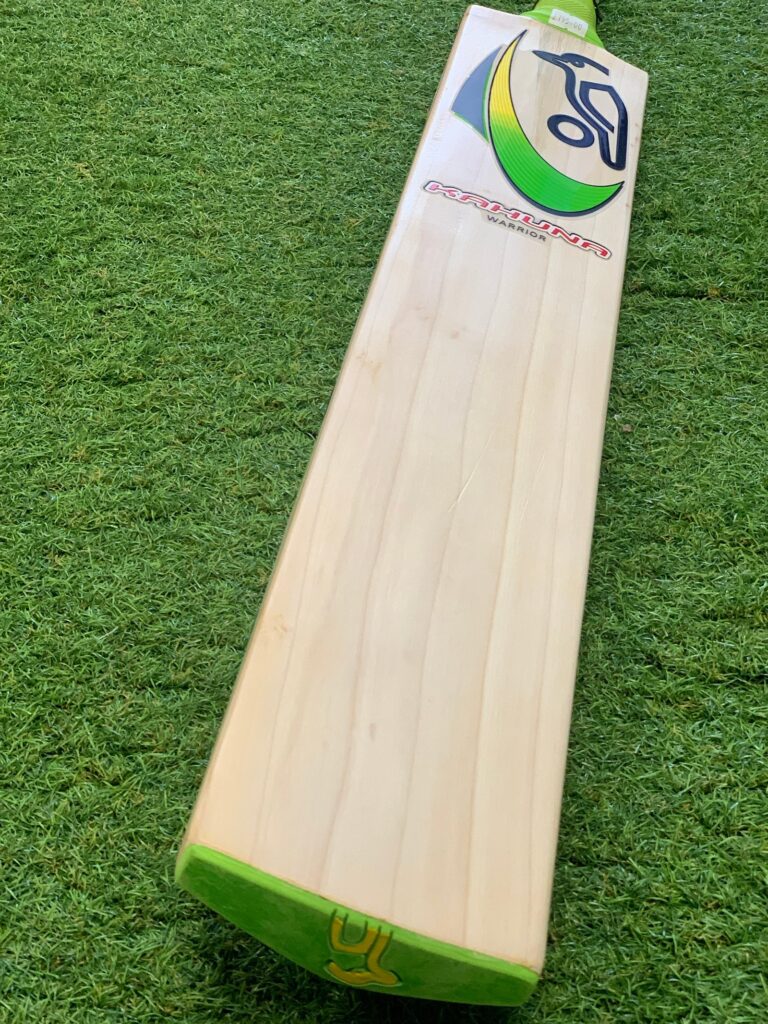 whiterosedirect whiterosedirect